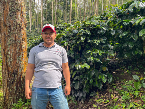 Indonesia Java – Community Coffees - Frinsa Collective