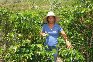 Colombian  - Women Coffee Producers